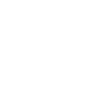 WordPress development