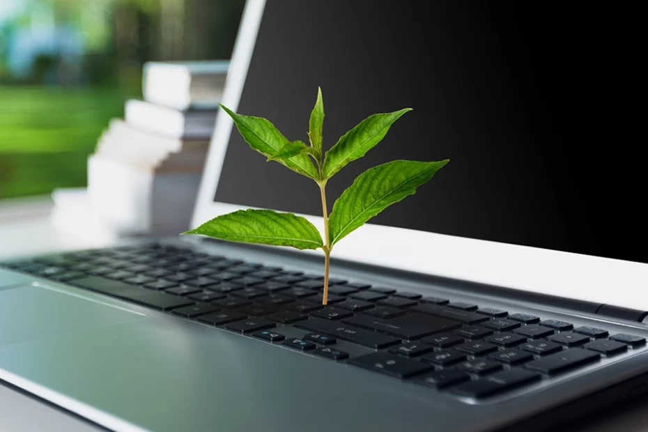 Eco-Friendly Web Design